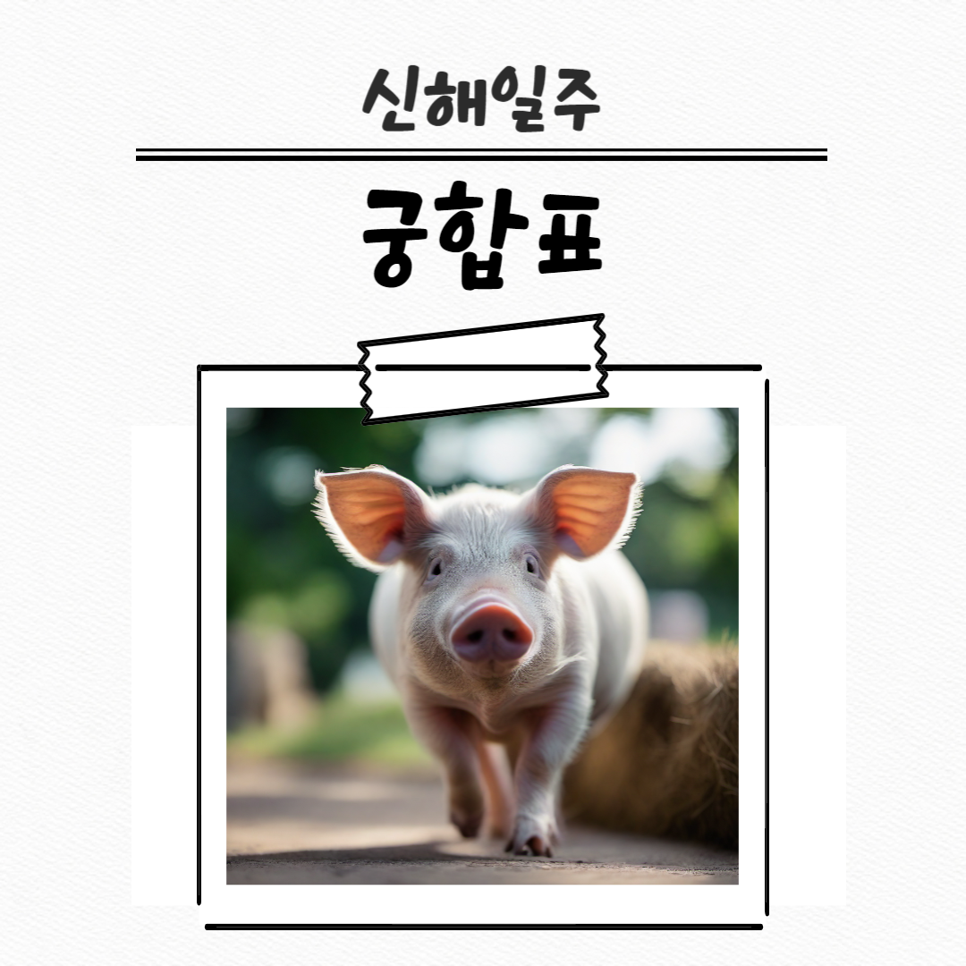 제목을 입력해주세요_복사본 (25)-001.png