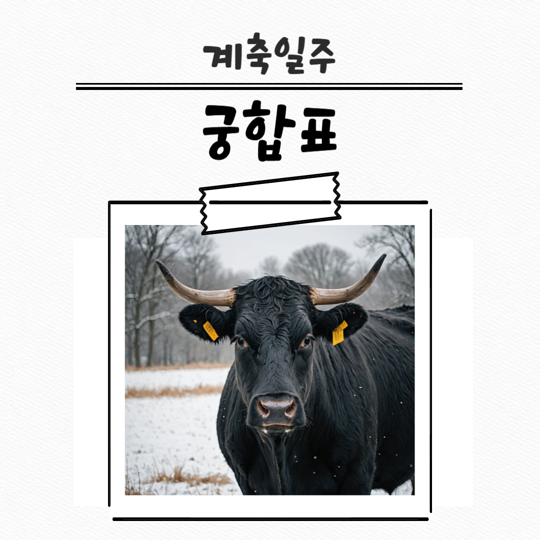 제목을 입력해주세요_복사본 (27)-001 (1).png