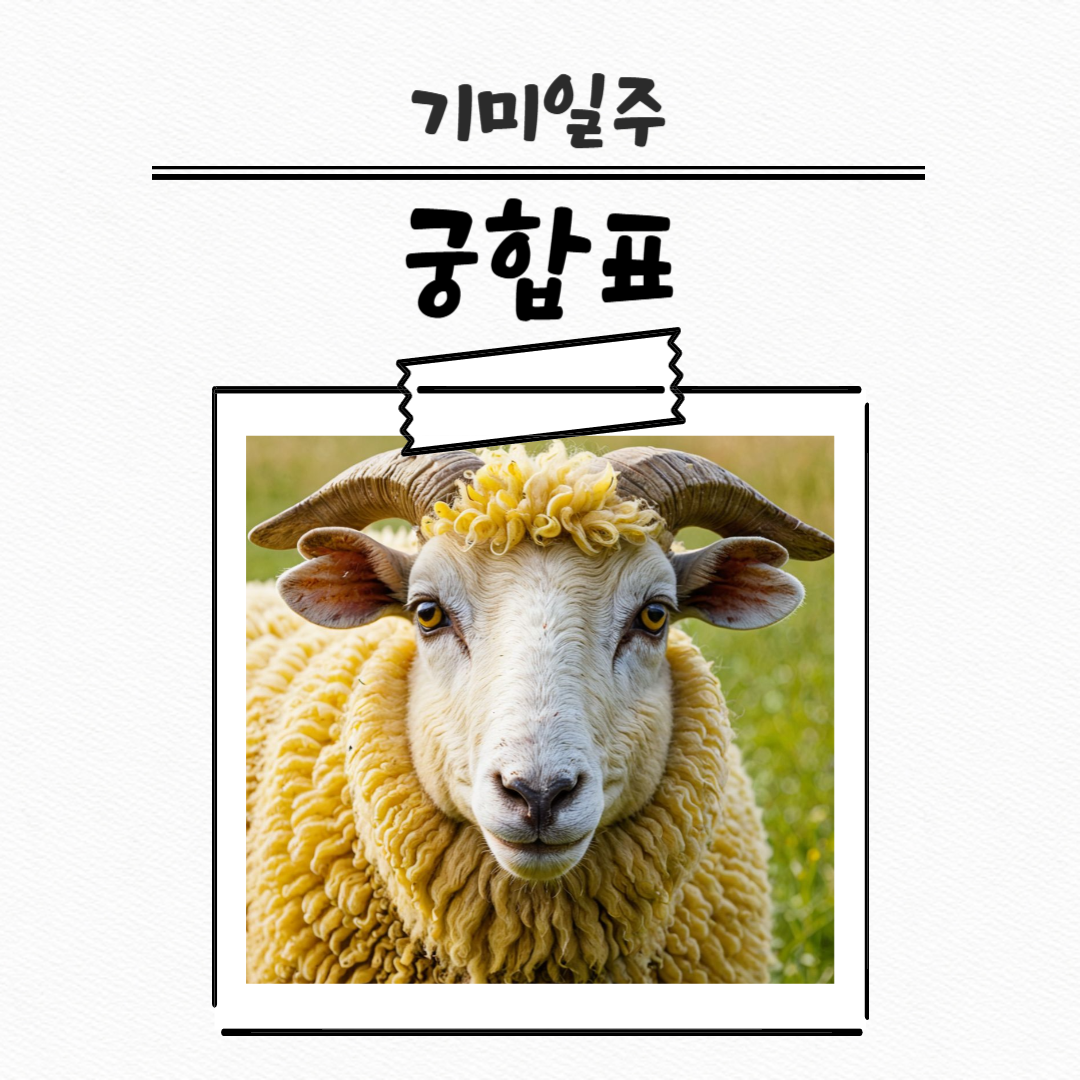 제목을 입력해주세요_복사본 (25)-001 (1).png