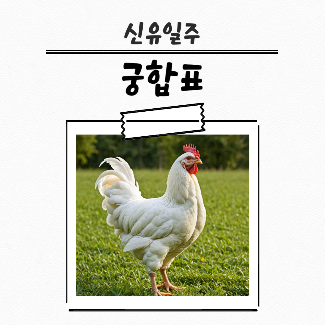 제목을 입력해주세요_복사본 (27)-001 (3).png