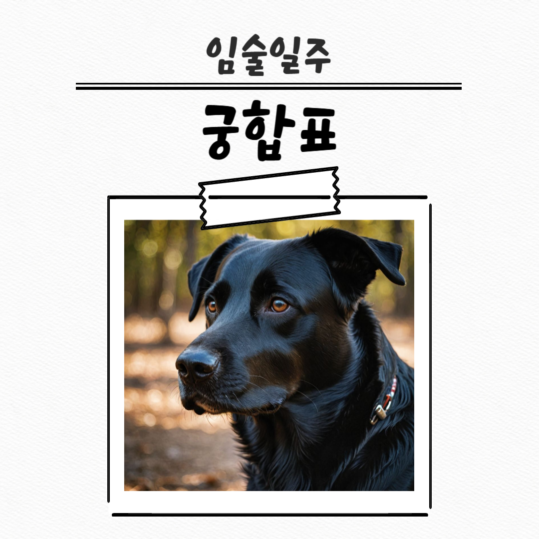 제목을 입력해주세요_복사본 (28)-001 (6).png