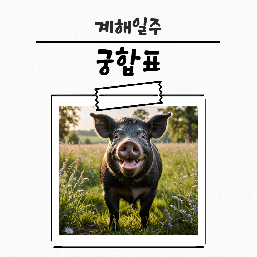 제목을 입력해주세요_복사본 (29)-001.png