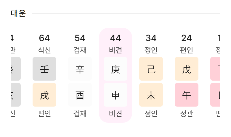 한혜진 지금 대운 경신 (사주연 만세력)