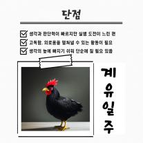 계유일주 검은 닭 연애 성격 특징 장단점